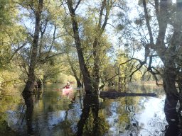 November 2025 - Wintersdorf